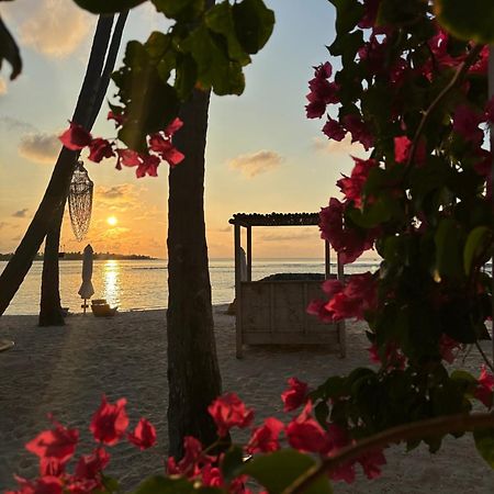 Samura Maldives Guest House Thulusdhoo Exterior foto