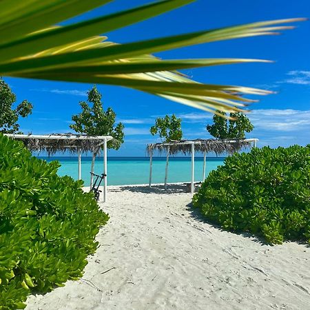 Samura Maldives Guest House Thulusdhoo Exterior foto