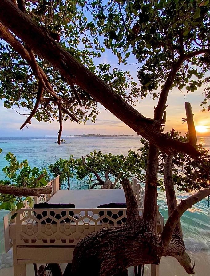 Samura Maldives Guest House Thulusdhoo Exterior foto