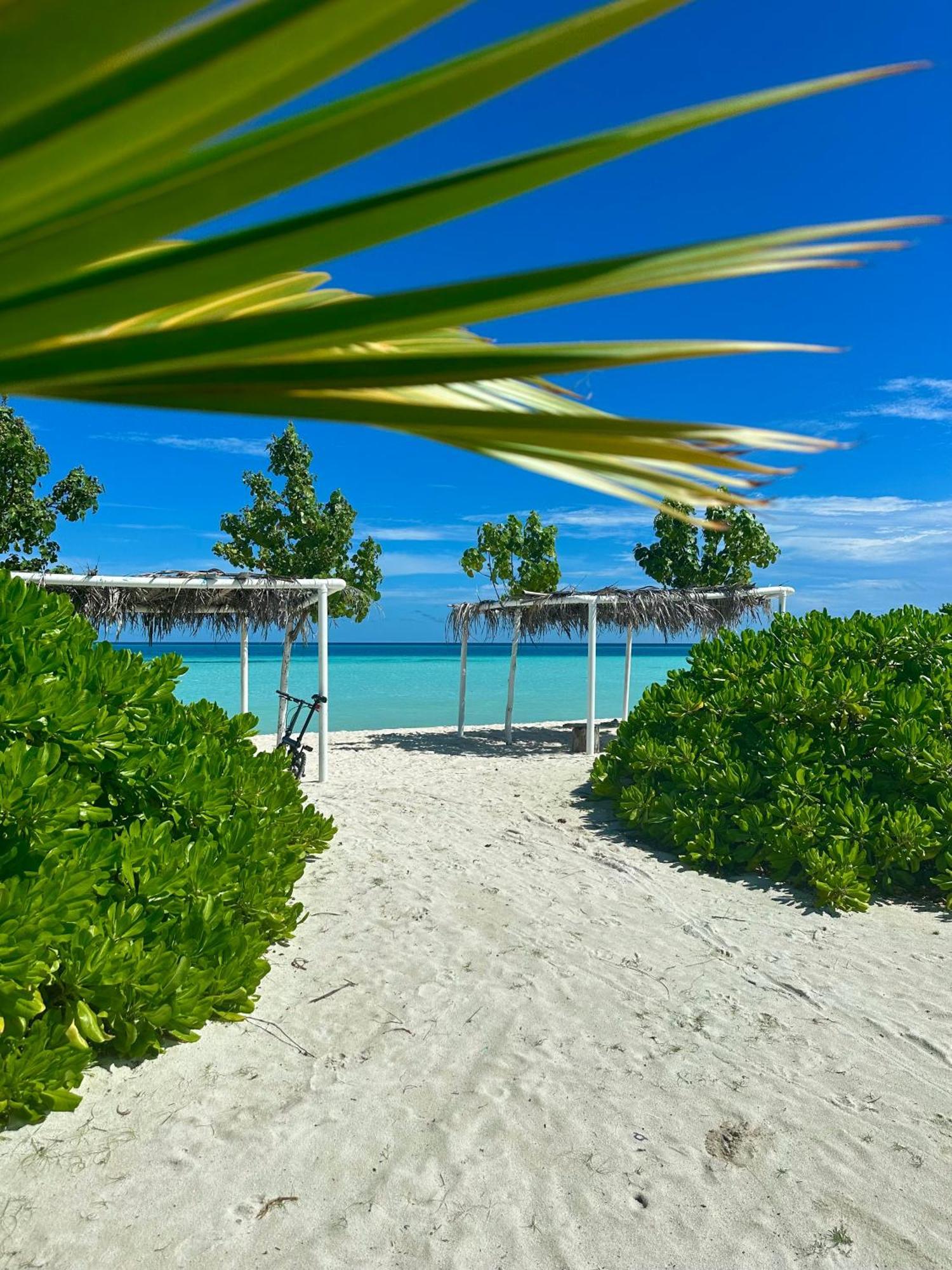 Samura Maldives Guest House Thulusdhoo Exterior foto